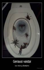 Geriausi vaistai - nuo vidurių užkietėjimo