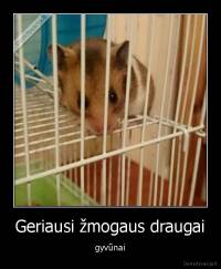 Geriausi žmogaus draugai - gyvūnai