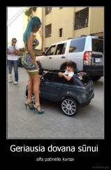 Geriausia dovana sūnui  - alfa patinėlio kursai