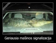 Geriausia mašinos signalizacija - 