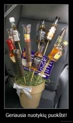 Geriausia nuotykių puokštė! - 