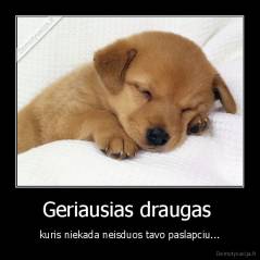 Geriausias draugas  - kuris niekada neisduos tavo paslapciu...