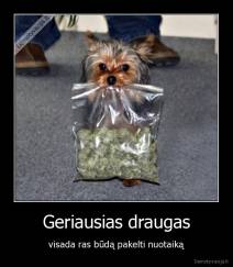 Geriausias draugas - visada ras būdą pakelti nuotaiką