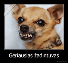 Geriausias žadintuvas - 