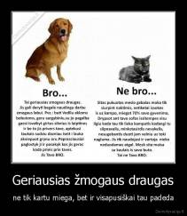 Geriausias žmogaus draugas - ne tik kartu miega, bet ir visapusiškai tau padeda