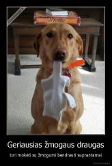 Geriausias žmogaus draugas - turi mokėti su žmogumi bendrauti suprantamai
