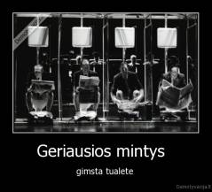 Geriausios mintys   - gimsta tualete 