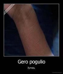 Gero pogulio - žymės.