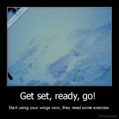 Get set, ready, go!  - Start using your wings now; they need some exercise.