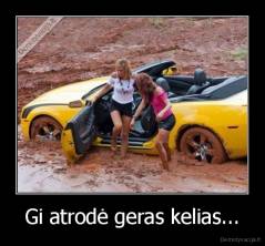 Gi atrodė geras kelias... - 