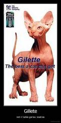 Gillete - net ir katės geriau neatras