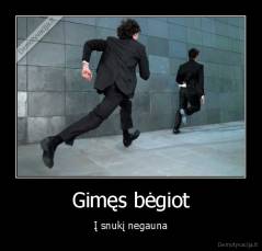 Gimęs bėgiot - Į snukį negauna