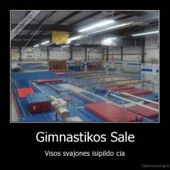 Gimnastikos Sale - Visos svajones isipildo cia