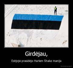 Girdėjau, - Estijoje prasidėjo Harlem Shake manija