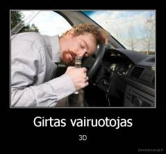 Girtas vairuotojas - 3D