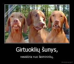 Girtuoklių šunys, - nesiskiria nuo šeimininkų.