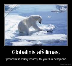 Globalinis atšilimas. - Sprendžiat iš mūsų vasaros, tai yra tikra nesąmonė.
