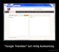 "Google Translate" turi rimtą konkurentą. - 