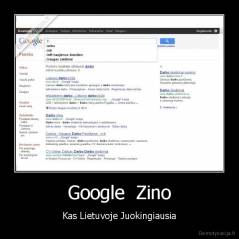 Google  Zino - Kas Lietuvoje Juokingiausia