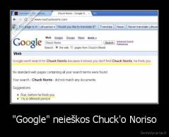 "Google" neieškos Chuck'o Noriso - 