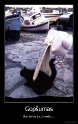 Gopšumas - štai iki ko jis priveda....