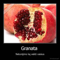 Granata  - Neturėjimo ką veikti vaisius