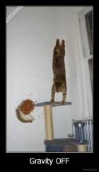Gravity OFF - 