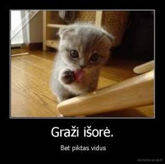 Graži išorė. -  Bet piktas vidus