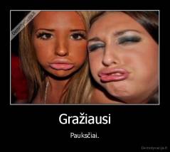 Gražiausi - Pauksčiai.