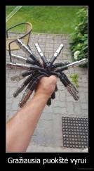 Gražiausia puokštė vyrui - 