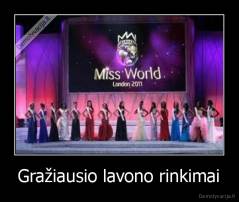 Gražiausio lavono rinkimai - 