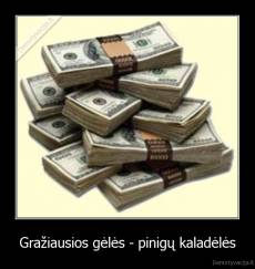 Gražiausios gėlės - pinigų kaladėlės - 