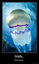 Gražu.. - Mirtinai gražu...