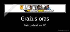Gražus oras - Reik pažaist su PC