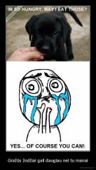 Gražūs žodžiai gali daugiau nei tu manai - 