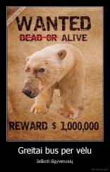 Greitai bus per vėlu - Ieškoti išgyvenusių