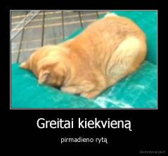 Greitai kiekvieną - pirmadieno rytą