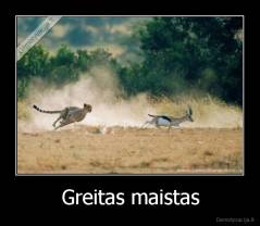 Greitas maistas - 