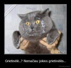 Grietinėlė..? Nemačiau jokios grietinėlės.. - 