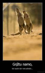 Grįžtu namo, - kol saulė dar nenusileido...