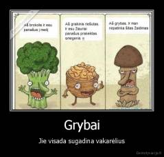 Grybai - Jie visada sugadina vakarėlius