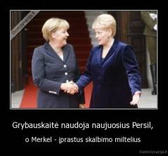Grybauskaitė naudoja naujuosius Persil,  - o Merkel - įprastus skalbimo miltelius 