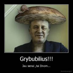 Grybubilius!!! - Jau senai ,tai žinom...
