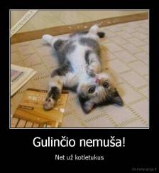 Gulinčio nemuša! - Net už kotletukus