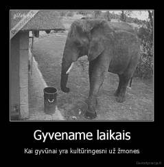 Gyvename laikais - Kai gyvūnai yra kultūringesni už žmones