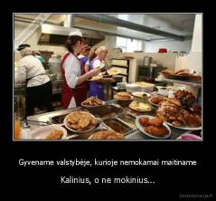 Gyvename valstybėje, kurioje nemokamai maitiname - Kalinius, o ne mokinius...
