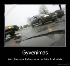 Gyvenimas - Kaip Lietuvos keliai - nuo duobės iki duobės