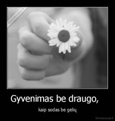 Gyvenimas be draugo,   - kaip sodas be gėlių