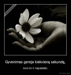 Gyvenimas gereja kiekvieną sekundę, - nors to ir nepastebi.