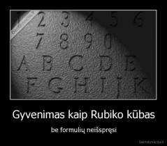 Gyvenimas kaip Rubiko kūbas - be formulių neišspręsi